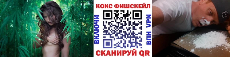 Купить  Кондрово  COCAIN Колумбийский 