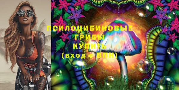 стафф Богородск