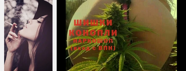 стафф Богородск