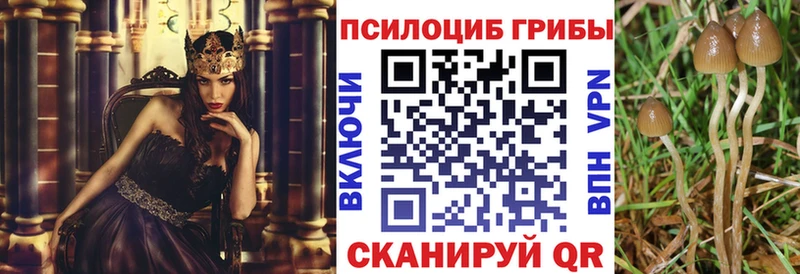 Галлюциногенные грибы мухоморы  Купить  Кондрово 